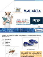 Malaria 8