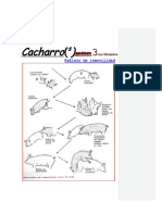 Revista de Literatura y Pensamiento Cacharro(s) 3