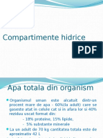 Compartimente Hidrice Final