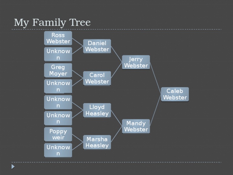 Webster Family Genealogy | PDF | Mystery, Thriller & Crime Fiction