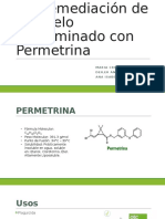 Biorremediación de un suelo contaminado con Permetrina.pptx