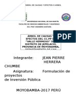 Árbol de Causas y Efecto de CC.pp Valle Hermoso-JEPELACIO