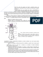 Curs PCMAI.pdf
