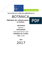 AnaRimac Botanica