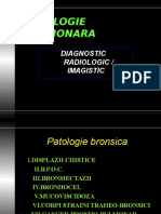 Pulmonar 2-20122