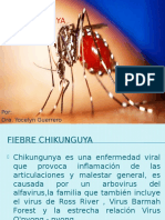 Fiebrechikunkgunya 140407081322 Phpapp02