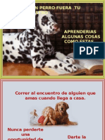 SI UN PERRO FUERA TU MAESTRO.pps