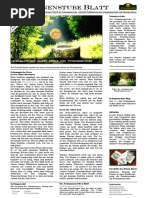 Schamanische Reise durch den Wunschbrunnen