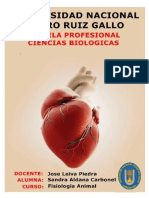 Práctica El Corazon