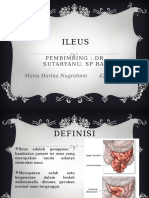 Neni - Ileus