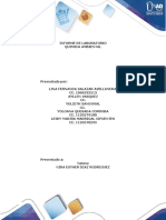 Informe de Práctica Química Ambiental