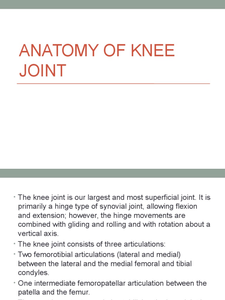 Knee Joint Anatomy and Function Guide | PDF | Knee | Joints