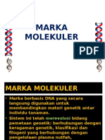 IV.. Marka Molekuler