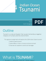 eportfolio - 2004 indian ocean tsunami - step8 final draft