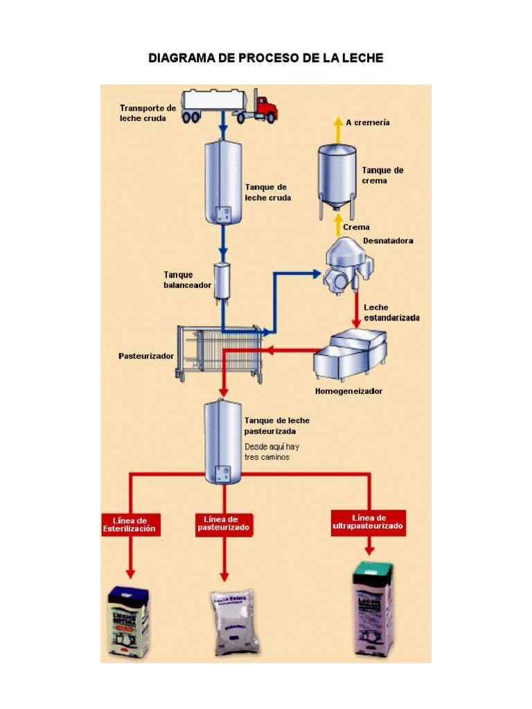 Proceso de Leche Fluida Leche Aluminio