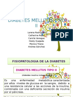 diabetesmellitustipo21-140505233713-phpapp02