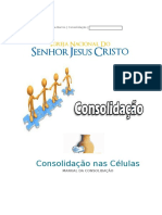 Manual Da Consolidaçãov03