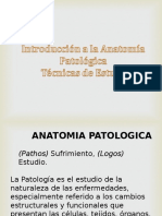 Introducción A La Anatomía Patológica