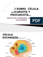 Trabajo Célula Eucariota y Procariota