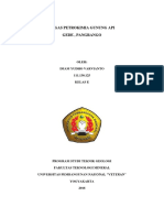 TUGAS 2 Petrokimia (Imam Yudho Varvianto) PDF