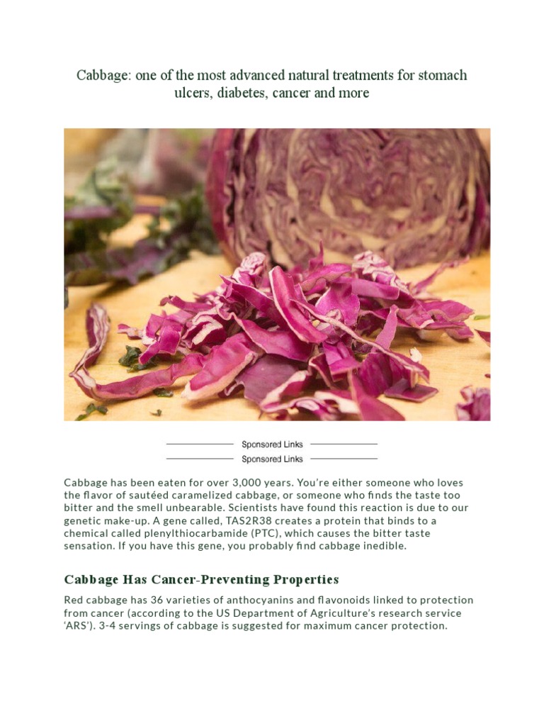 Cabbage PDF Cancer Antioxidant