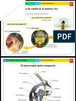 biologia2