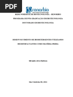 Desenvolvimento de biodetergentes utilizando biossurfactantes como matéria prima