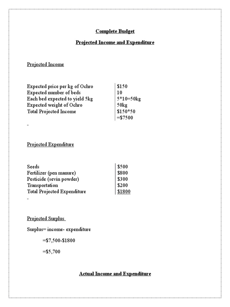 Complete Budget Projected Income and Expenditure | PDF