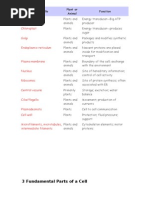 Download Cell Structure and Organelles by Danielle Elish Goco SN34717642 doc pdf