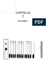 CARTELLS3C