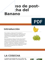 Proceso de Post-cosecha Del Banano