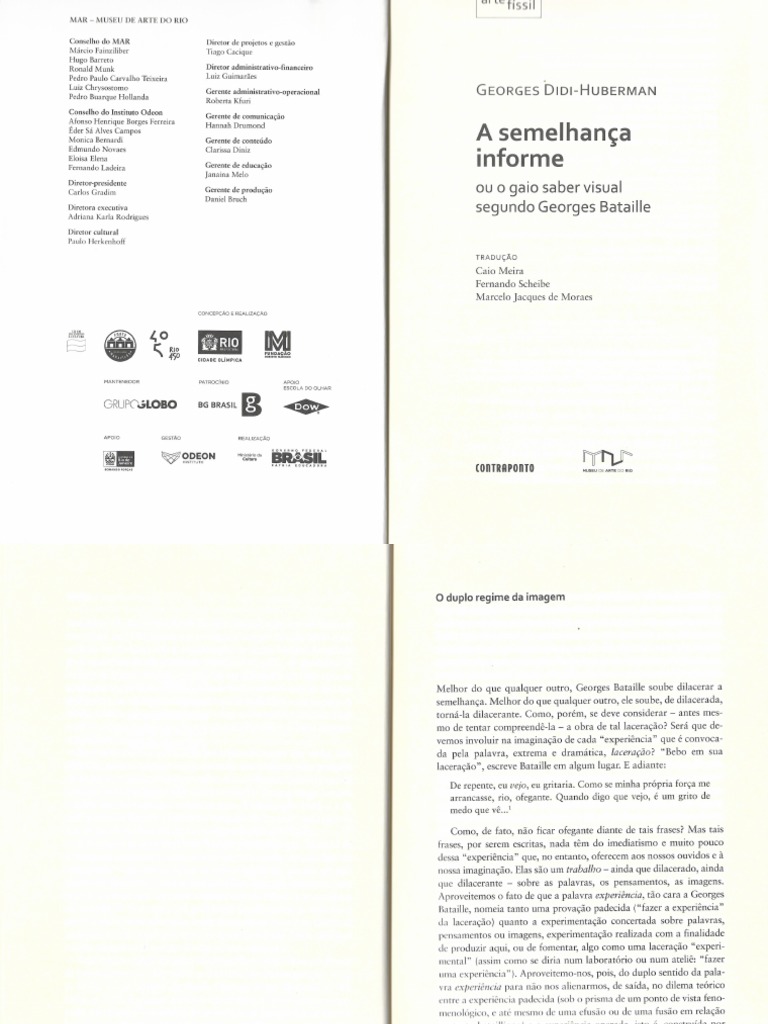 O Duplo Regime Da Imagem In: A Semelhança Informe (Didi Huberman) | PDF