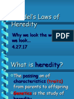 Mendel Law of Heredity Powerpoint 4 27 17
