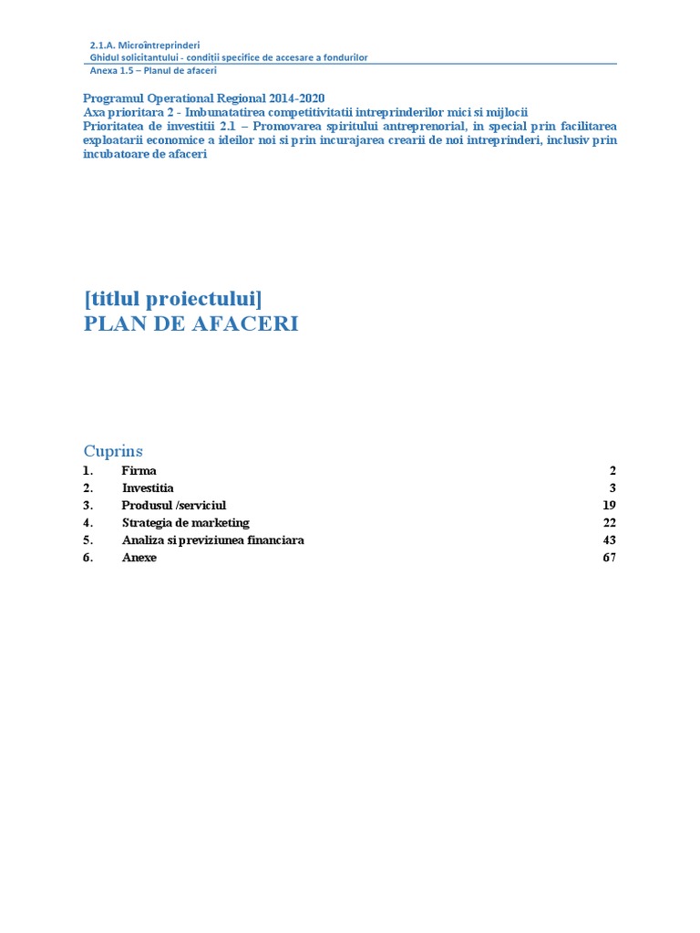 Plan Afaceri Pdf