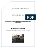 CHRISTIANBELTRAN-NICARAGUA Contaminacionquimicadelagua