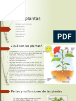 Las Plantas