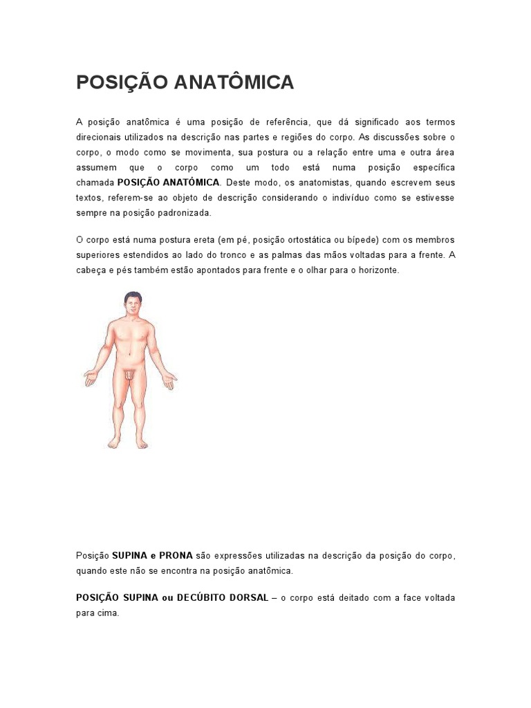 Guia de Posições Anatômicas do Corpo | PDF