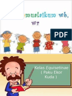 Paku Kuda