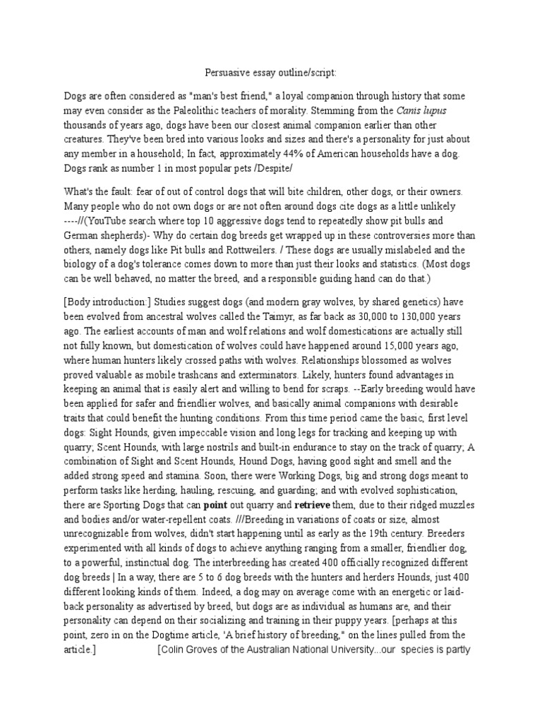 a dog essay