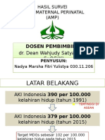 Audit Maternal Perinatal