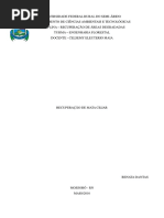 Trabalho Mata Ciliar