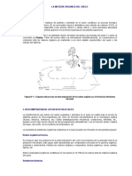 materia+organica+del+suelo.pdf