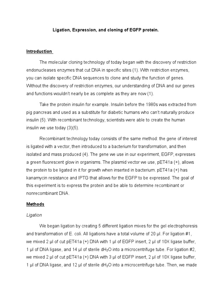 Cloning and Expression of EGFP Protein | PDF | Molecular Cloning | Dna ...