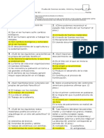 Prueba Septimo Basico Prehistoria