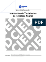 SNY1. CIED PDVSA - Simulación de Yacimientos de Petróleos Negros.pdf
