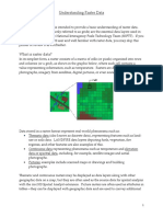 RasterPrimer PDF