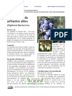 arándanos.pdf