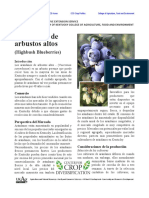 Arándanos PDF
