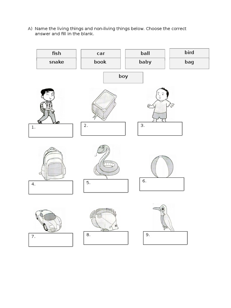 Peperiksaan Pertengahan Tahun Science DLP 2017  Foods  Peperiksaan Pertengahan Tahun Science DLP 2017  Foods