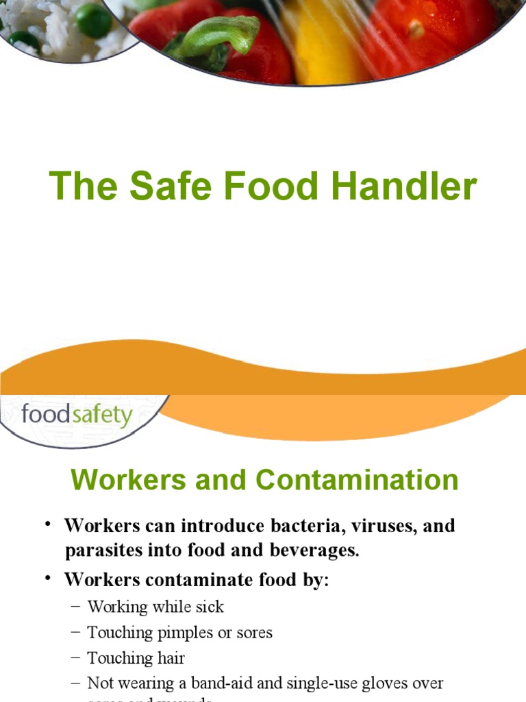 The Safe Food Handler PDF Hand Washing Foods